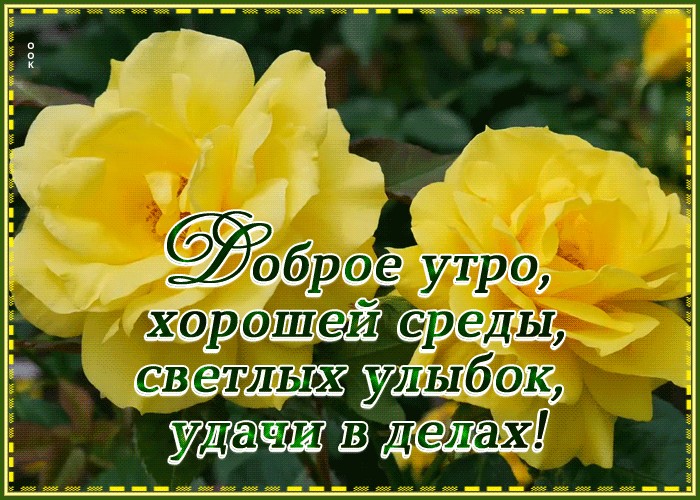 Открытки